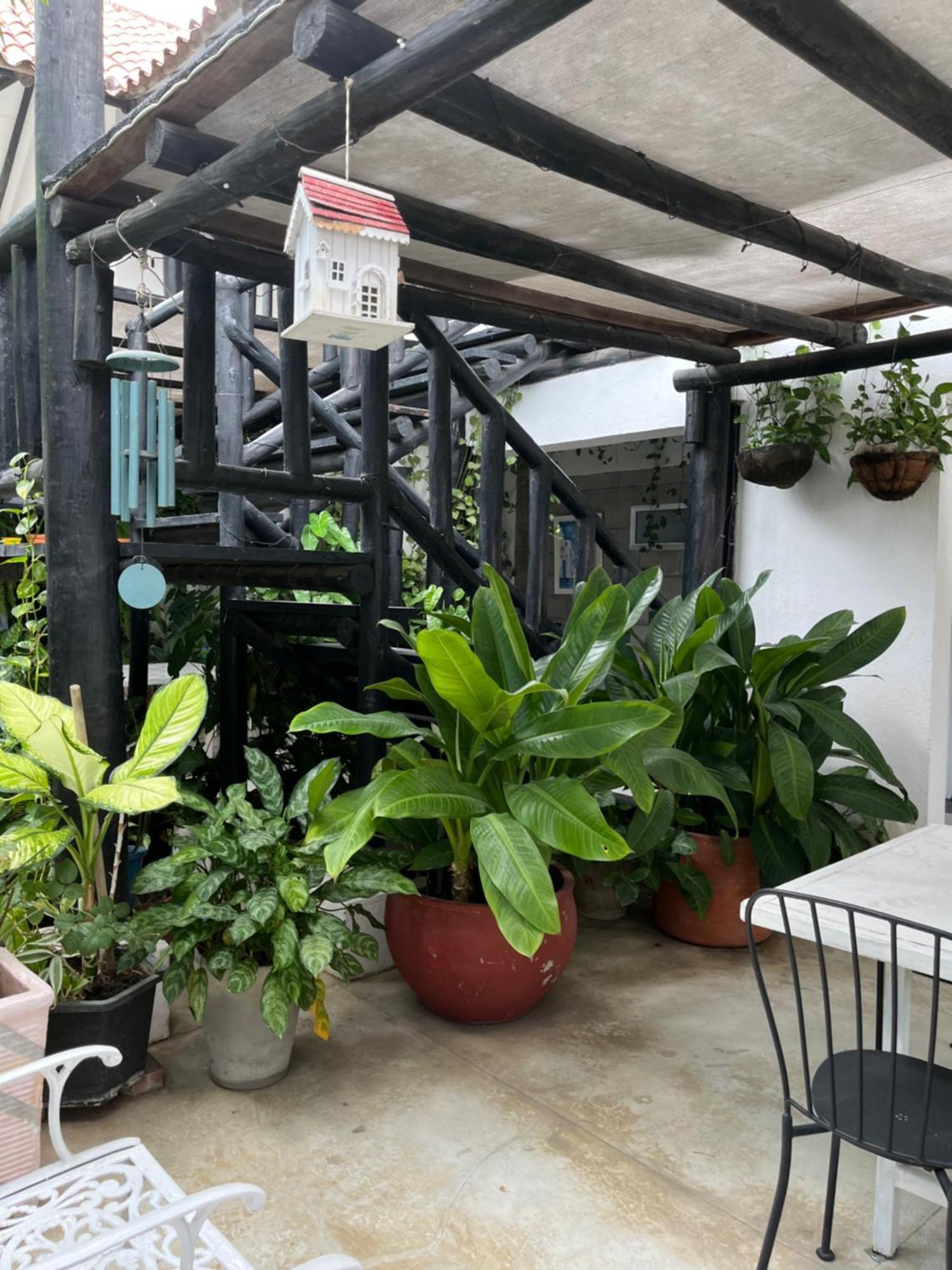 Hotel Casa Ines Santa Marta  Esterno foto