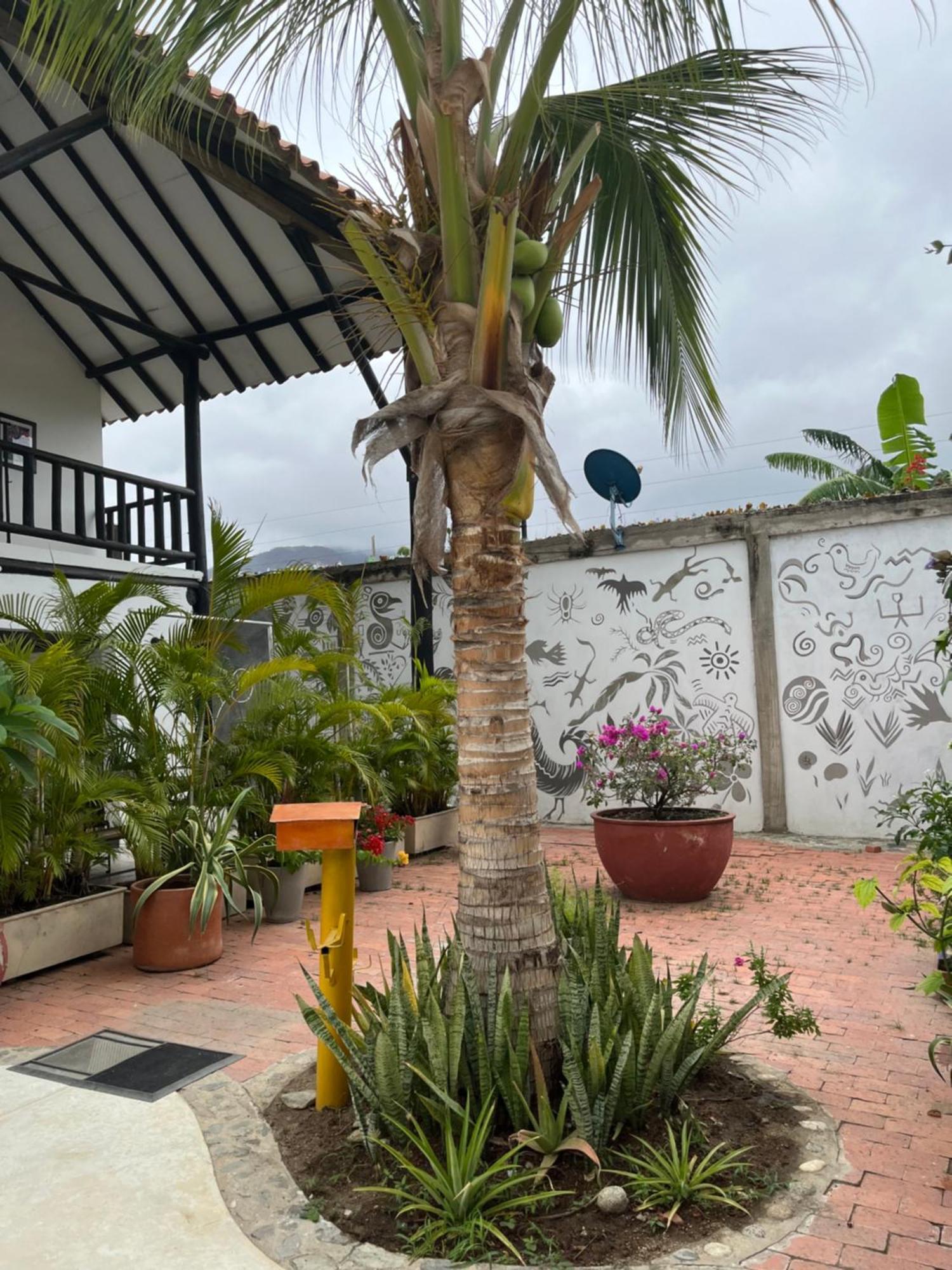 Hotel Casa Ines Santa Marta  Esterno foto